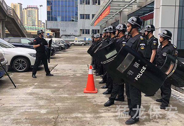 广西黄瓜视频APP在线下载公司